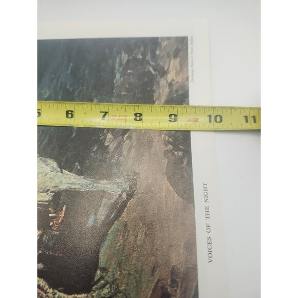 Print A Navajo Madonna & Voices of the Night Frank Tenney Johnson Art 13x10 - Picture 4 of 12